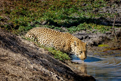 © The Guys Photography - www.theguys.co.za